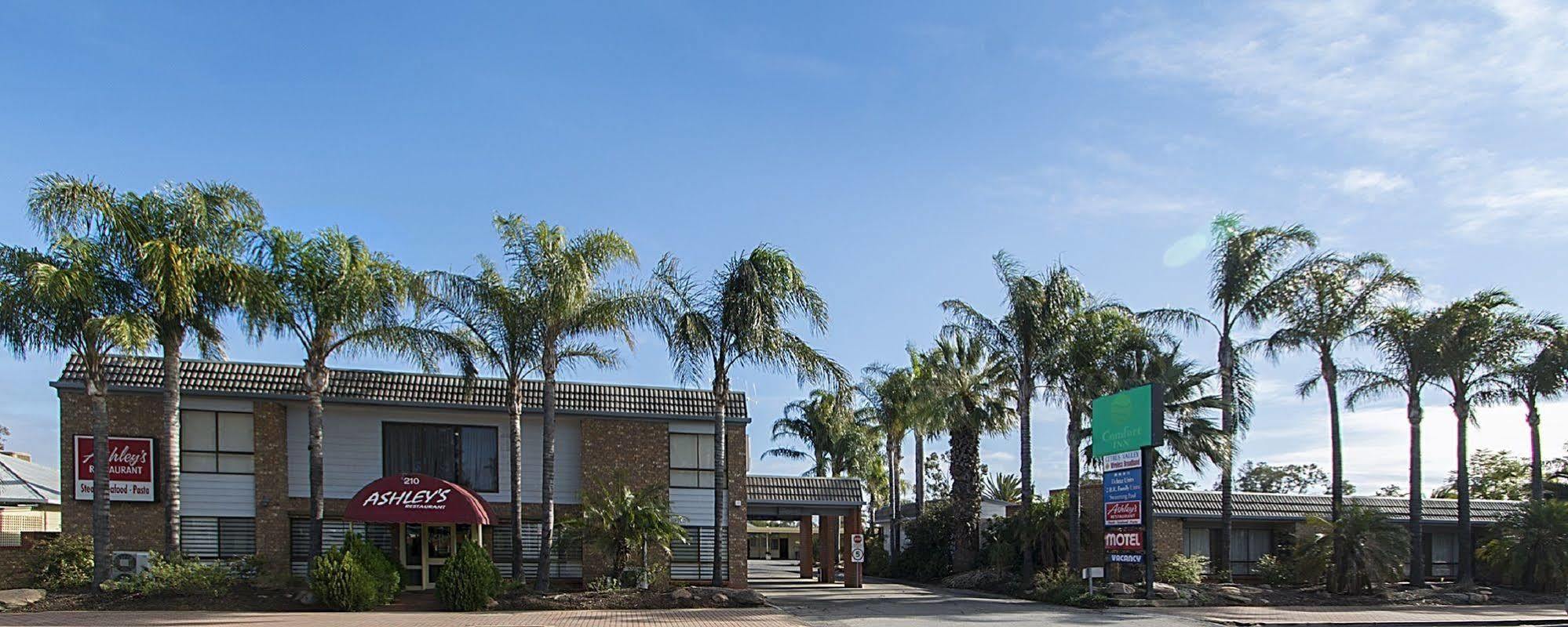 רנמארק Citrus Valley Motel מראה חיצוני תמונה